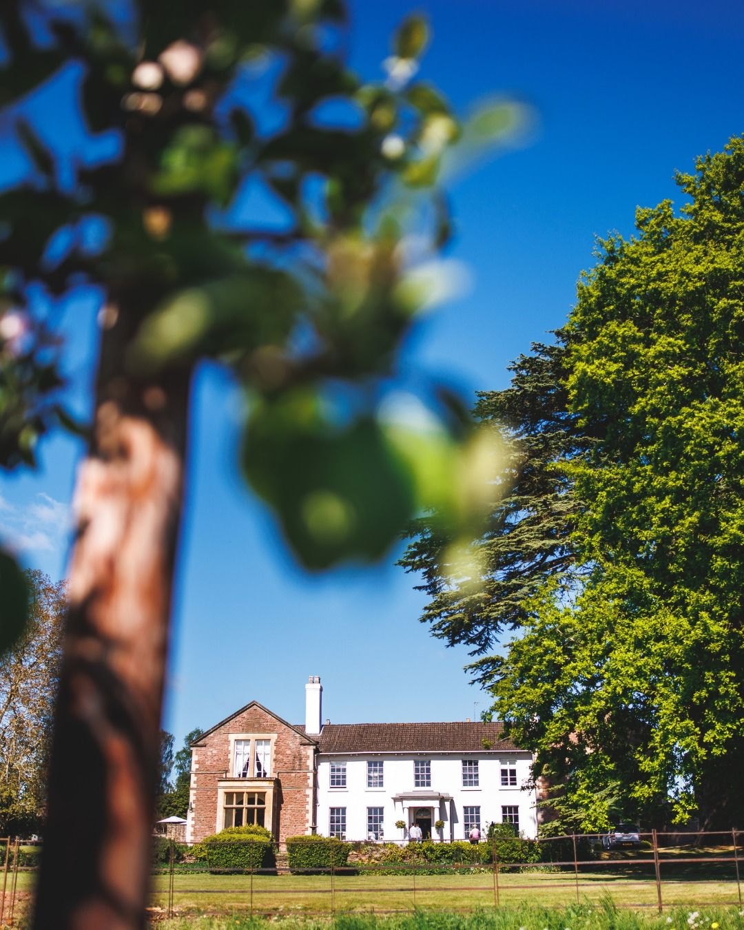 Glewstone Court country house framed by foliage
